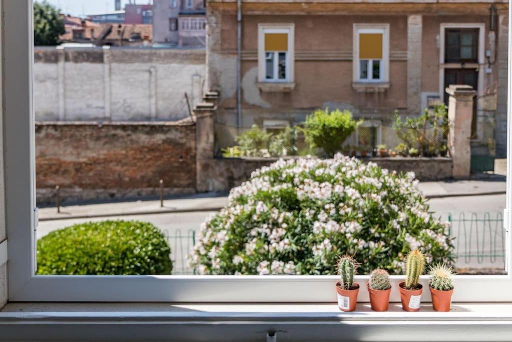 Quirky Apartment Arena With Parking Pula Luaran gambar